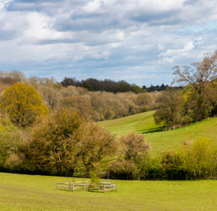 <strong>THE NORTH DOWNS WAY</strong>