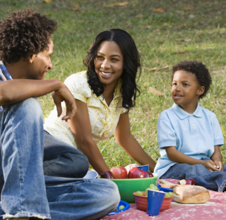 <strong>LOCAL FAMILY ATTRACTIONS</strong>